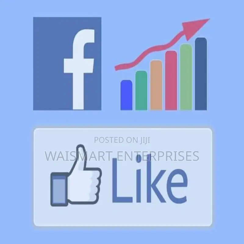 1,000 Youtube,Intsagram,Twitter Facebook Likes in 48 Hours