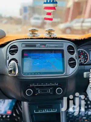 Volkswagen Customized Tiguan Radio
