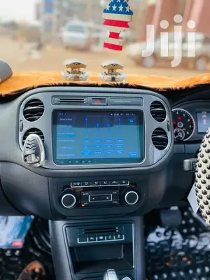 Volkswagen Customized Tiguan Radio