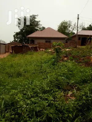 Plot for Sale 40x25ft in Lukwaga Town Setema Road