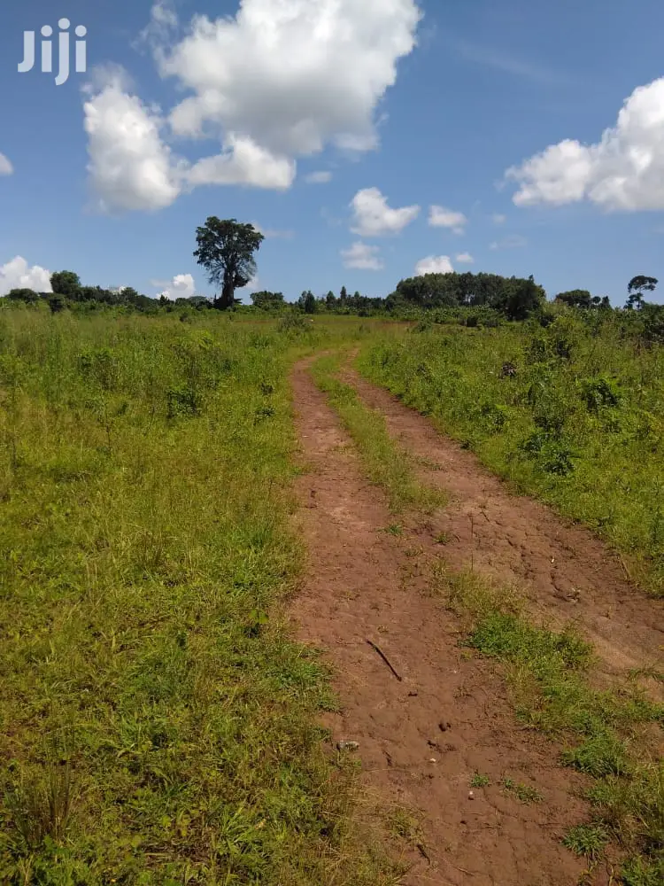 Plots Is Available for Sale in Magere