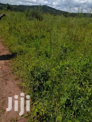 Plots Is Available for Sale in Magere