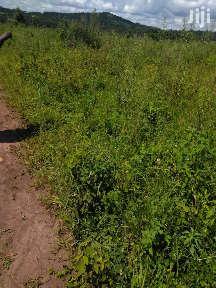 Plots Is Available for Sale in Magere
