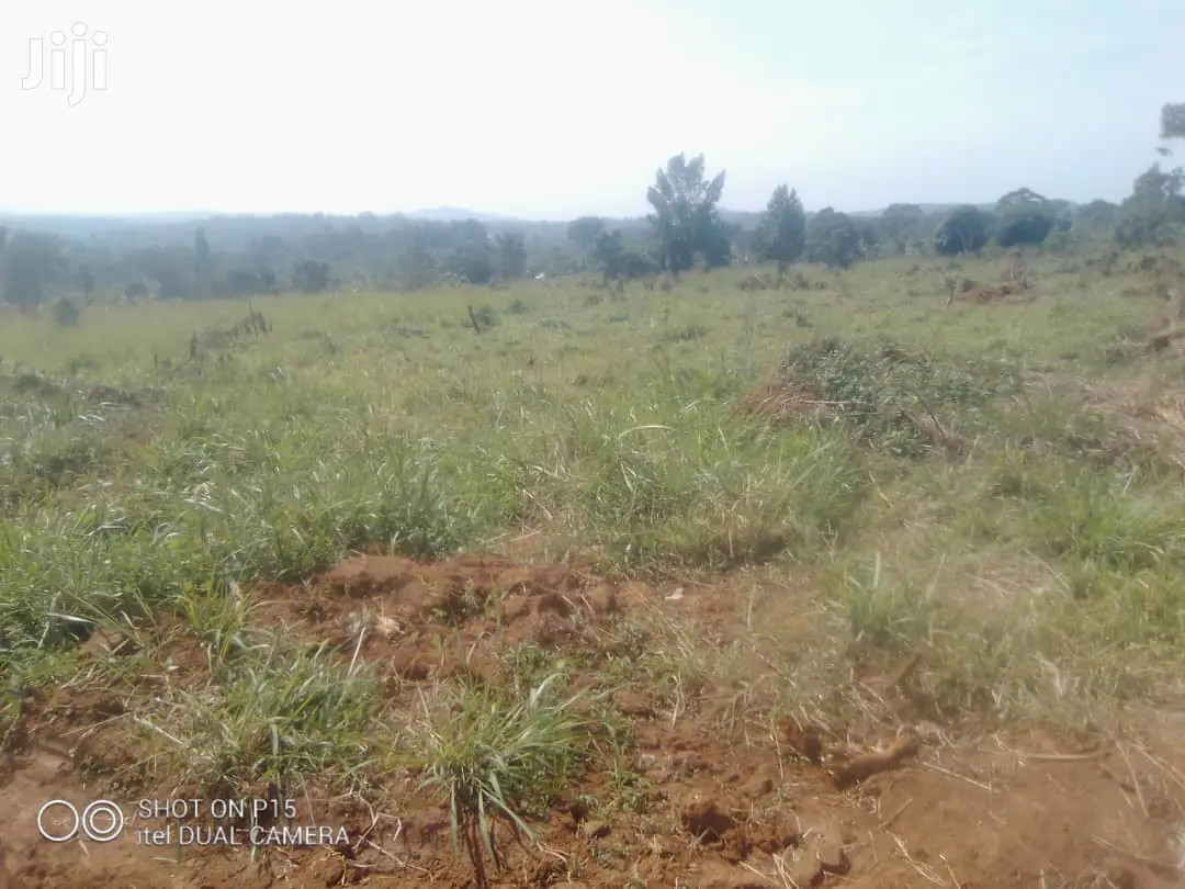 Plots Is Available for Sale in Namugongo Nabusugwe