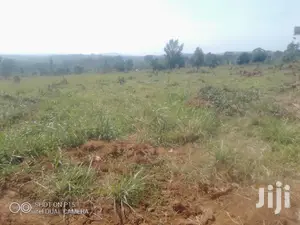 Plots Is Available for Sale in Namugongo Nabusugwe
