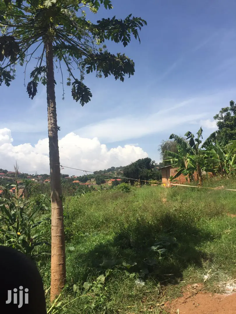 Plots Is Available for Sale in Kungu