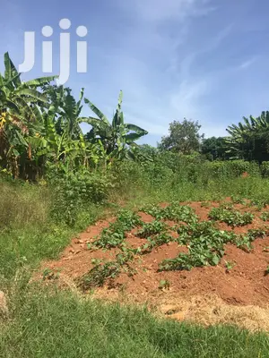 Plots Is Available for Sale in Kungu
