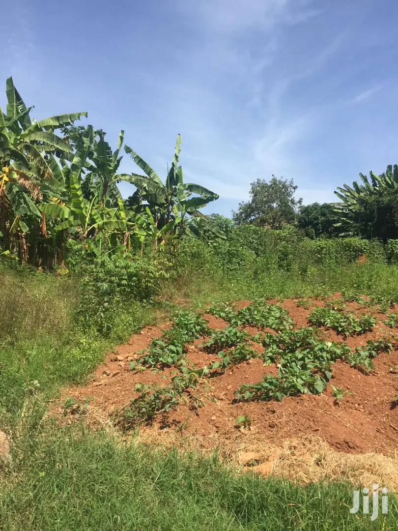 Plots Is Available for Sale in Kungu