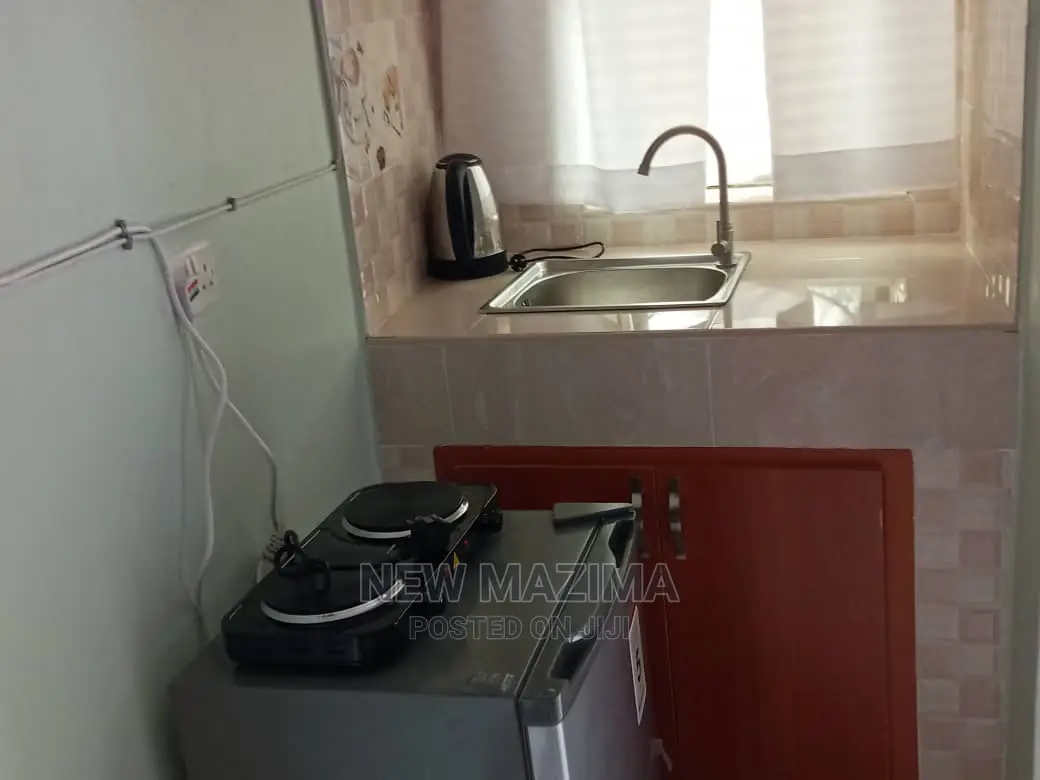 Fully Furnished Studio Apartments In Makindye For Rent