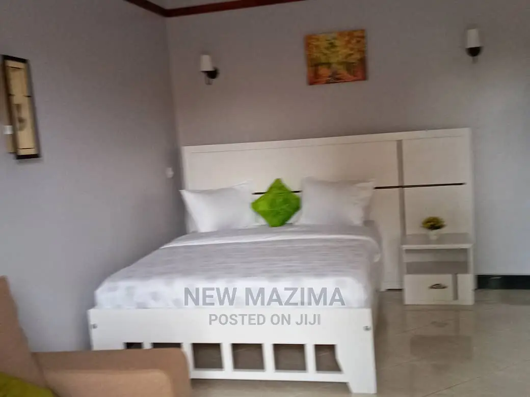 Fully Furnished Studio Apartments In Makindye For Rent