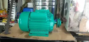 Electric Motor