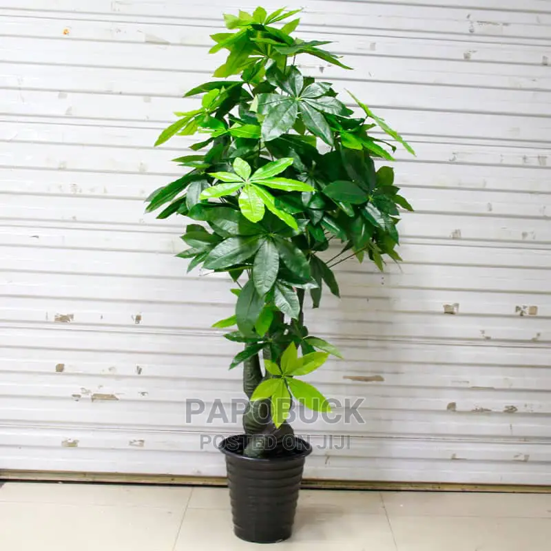 Artificial Mangoe Plant