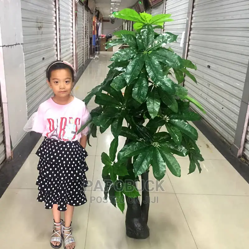 Artificial Mangoe Plant