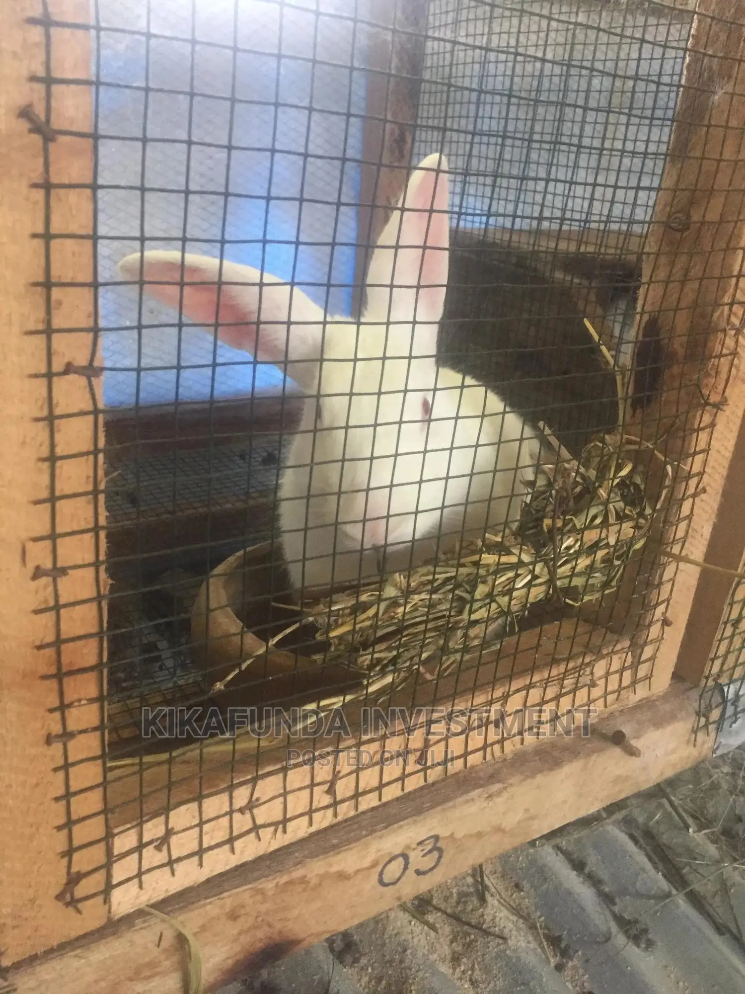 Rabbit Hay 17 KGS