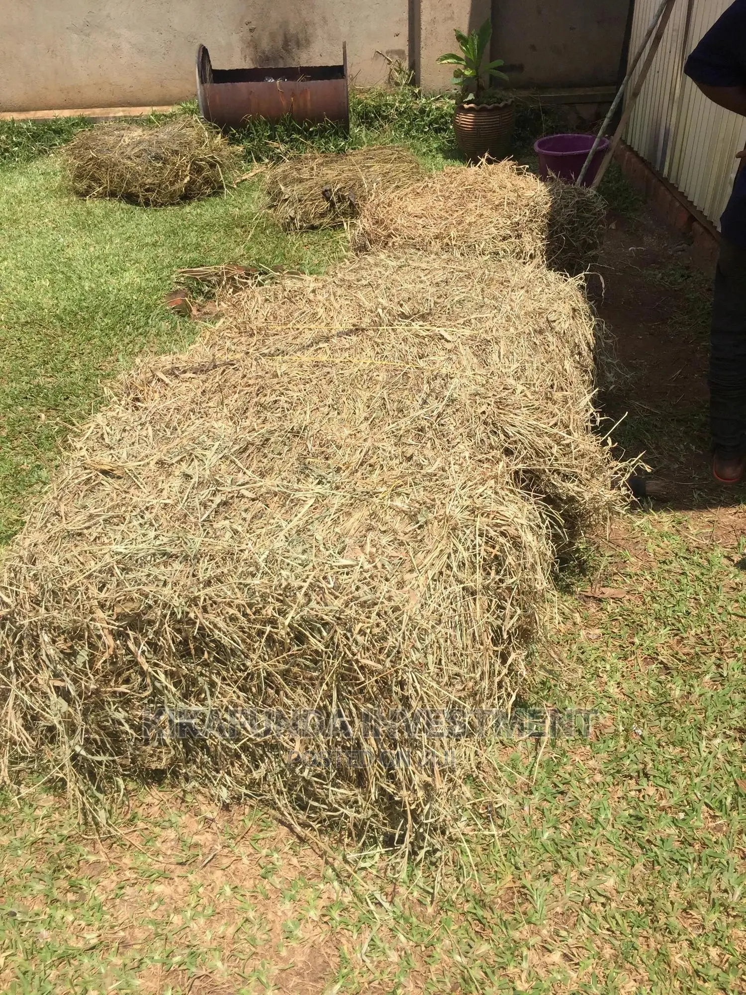 Rabbit Hay 17 KGS