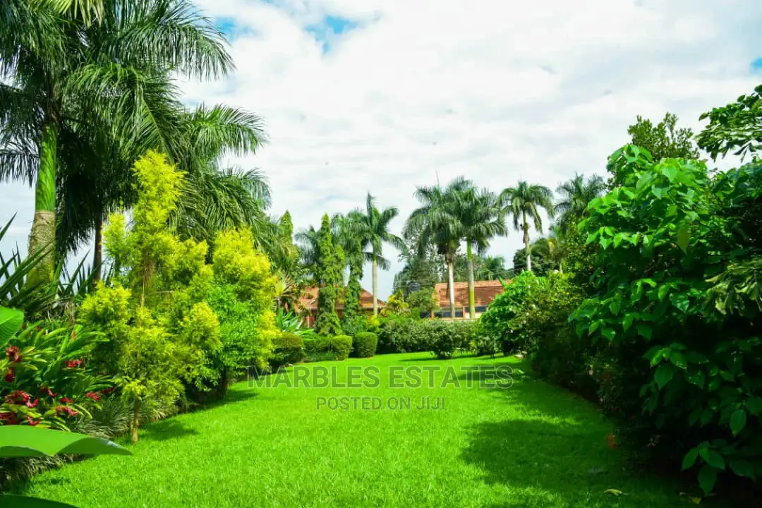Fully Furnished House for Rent in Naguru