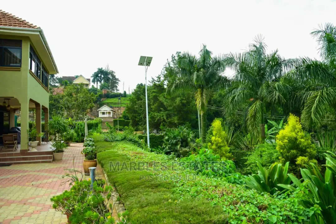 Fully Furnished House for Rent in Naguru