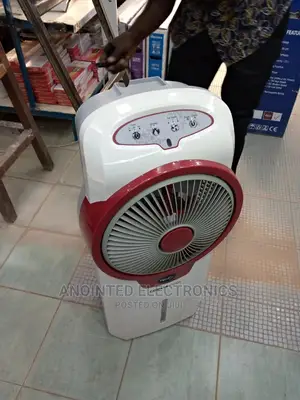 Air Conditioner Pigeon