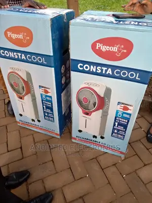 Pigeon Consta Cool
