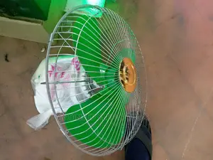 Evenal Ceiling Fans