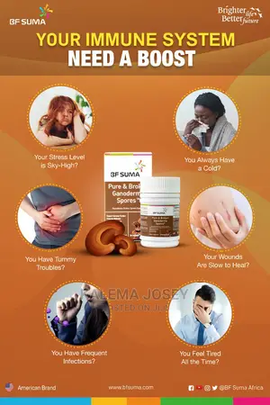 Pure and Broken Ganoderma Spores
