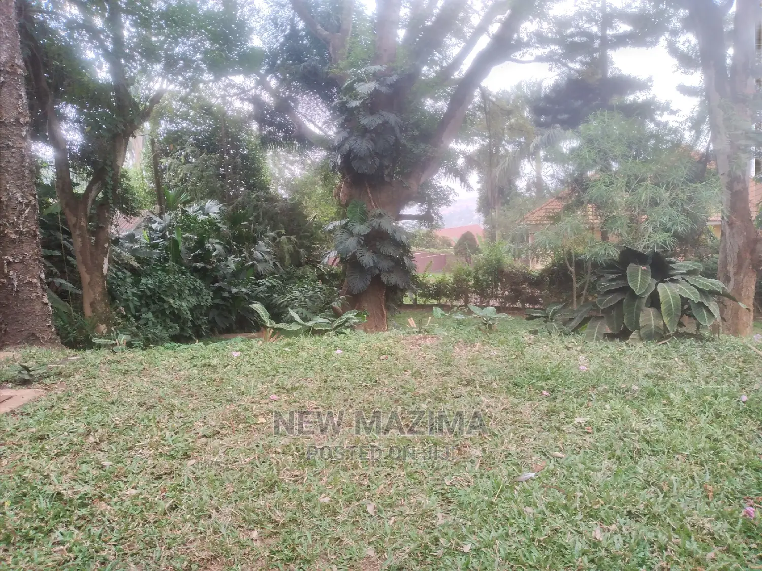 4bdrm Bungalow in Kizungu, Makindye for rent