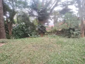 4bdrm Bungalow in Kizungu, Makindye for rent