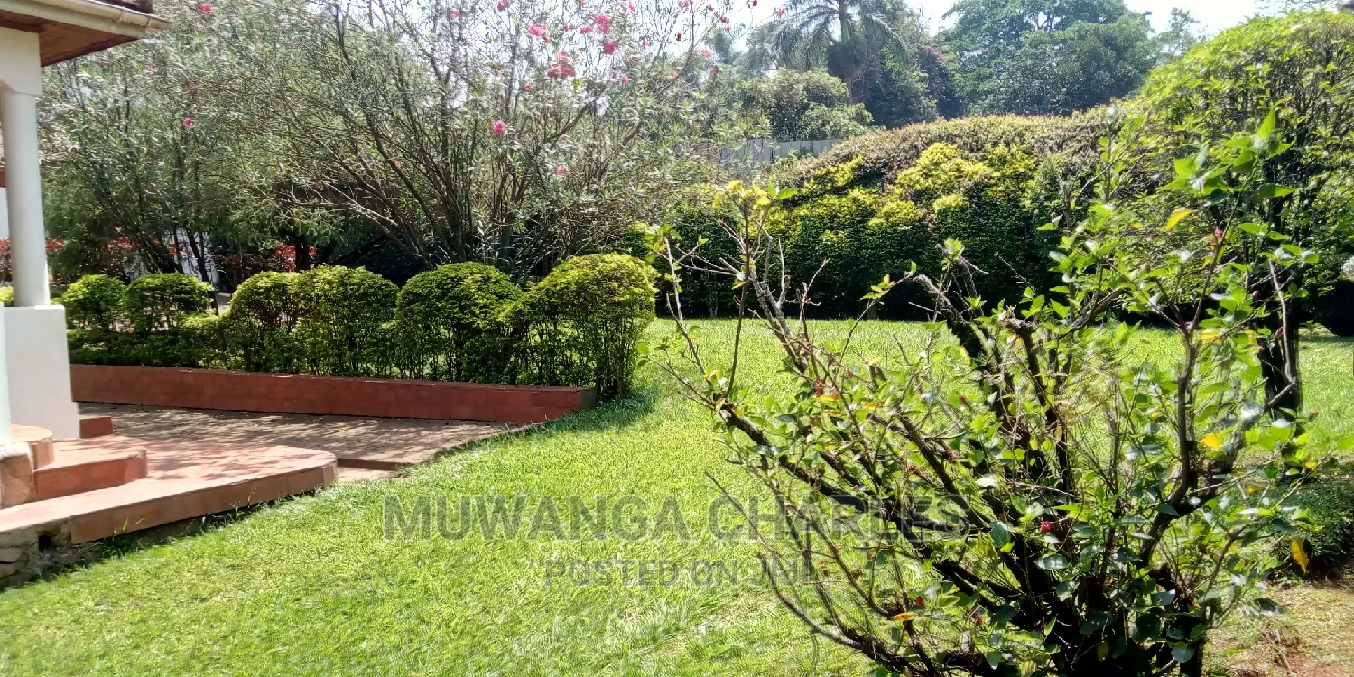 House Is Available for Rent in Kololo