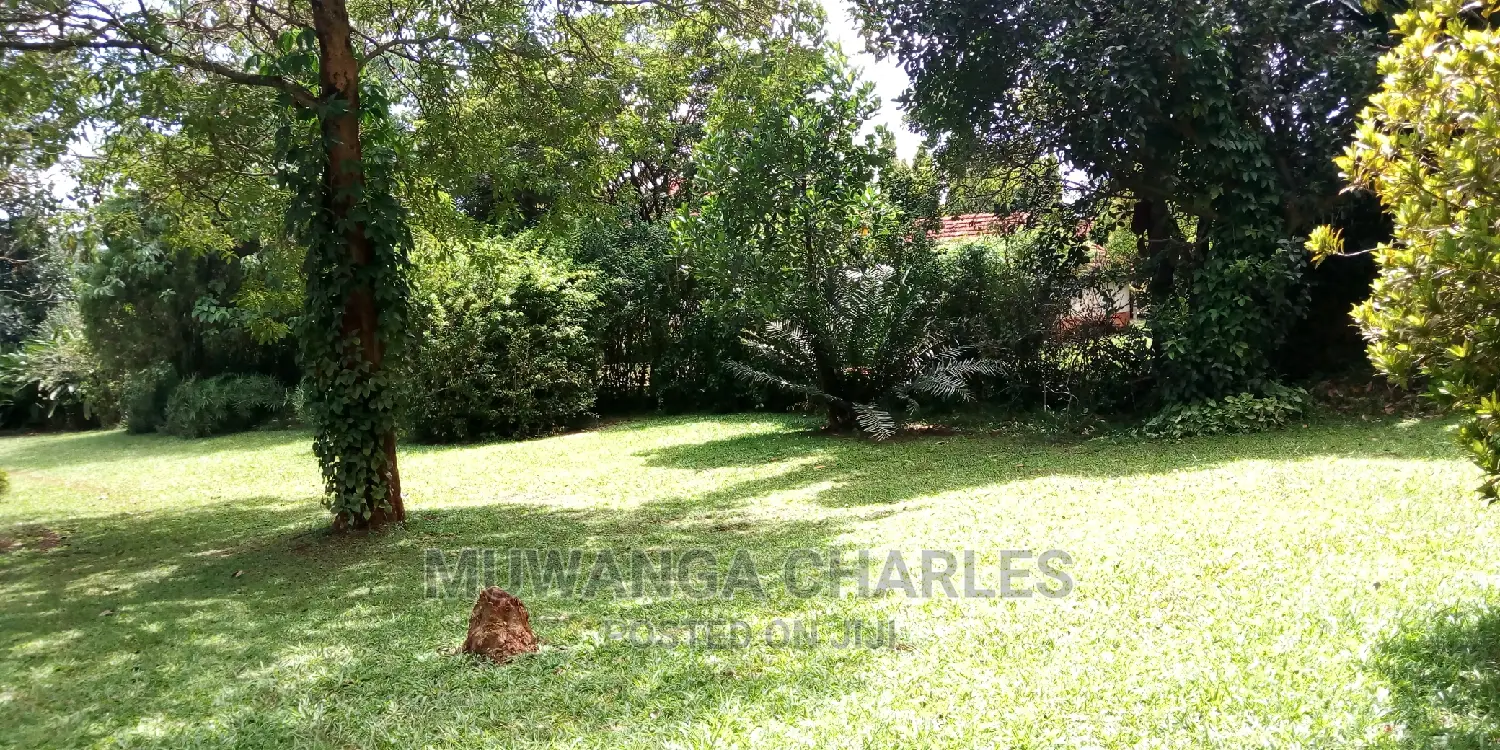 3bedrooms Furnished House Is Available for Rent in Kololo