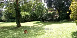3bedrooms Furnished House Is Available for Rent in Kololo