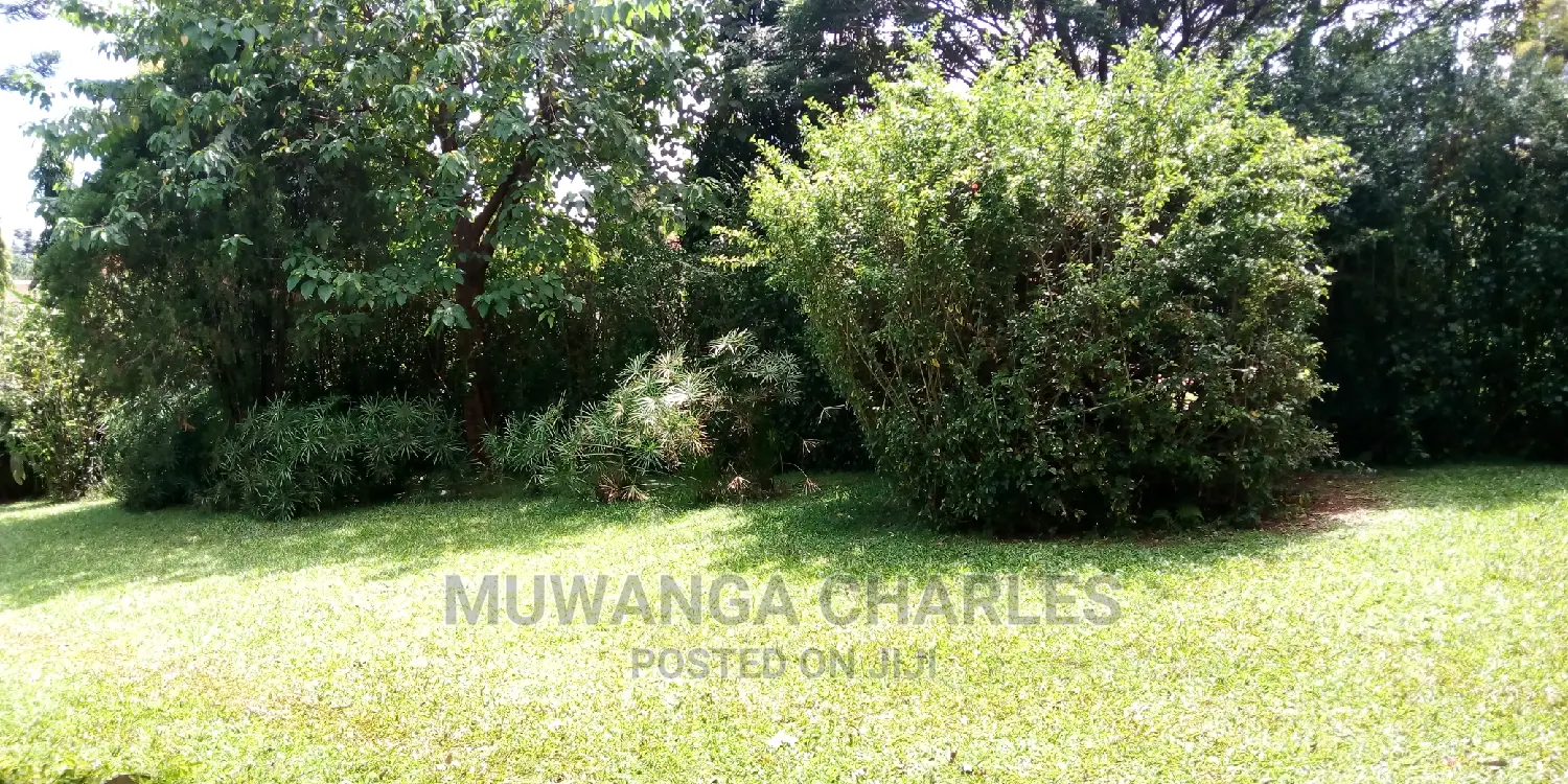 3bedrooms Furnished House Is Available for Rent in Kololo