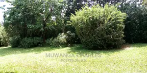 3bedrooms Furnished House Is Available for Rent in Kololo