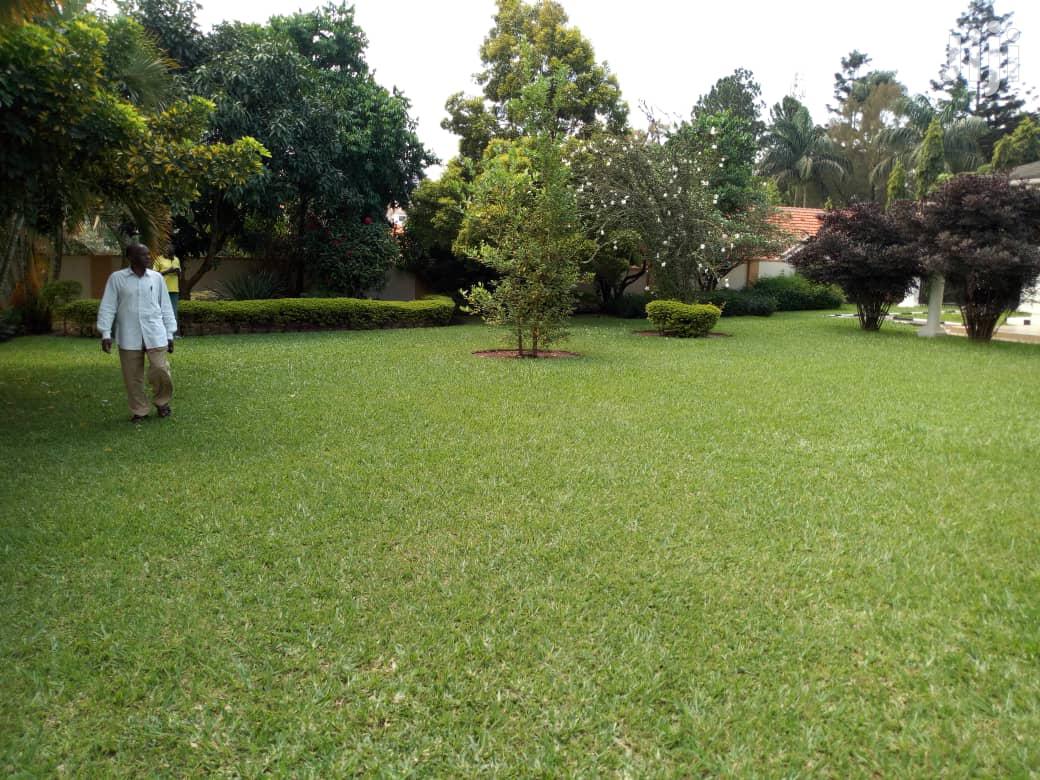 Four Bedroom House In Naguru For Rent
