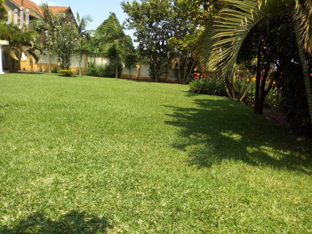 Four Bedroom House In Naguru For Rent