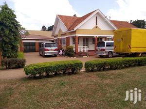 Photo - Five Bedroom House In Bugoloobi For Rent