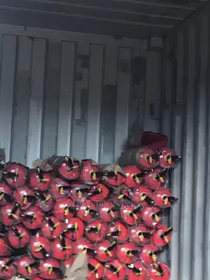Fire Fighting Extinguishers