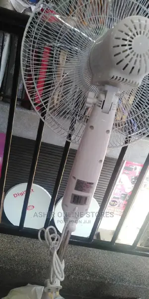 Lucid Stand FAN