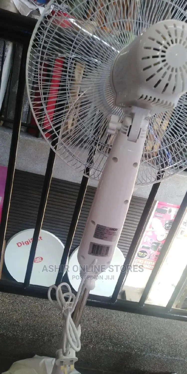 Lucid Stand FAN