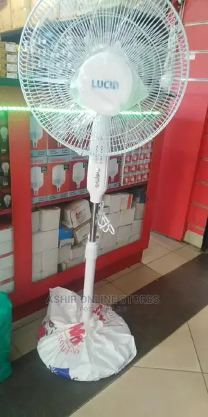 Lucid Stand FAN