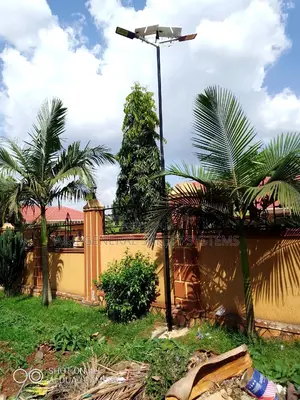 Solar Security Street Constant Lighting Throughout Night
