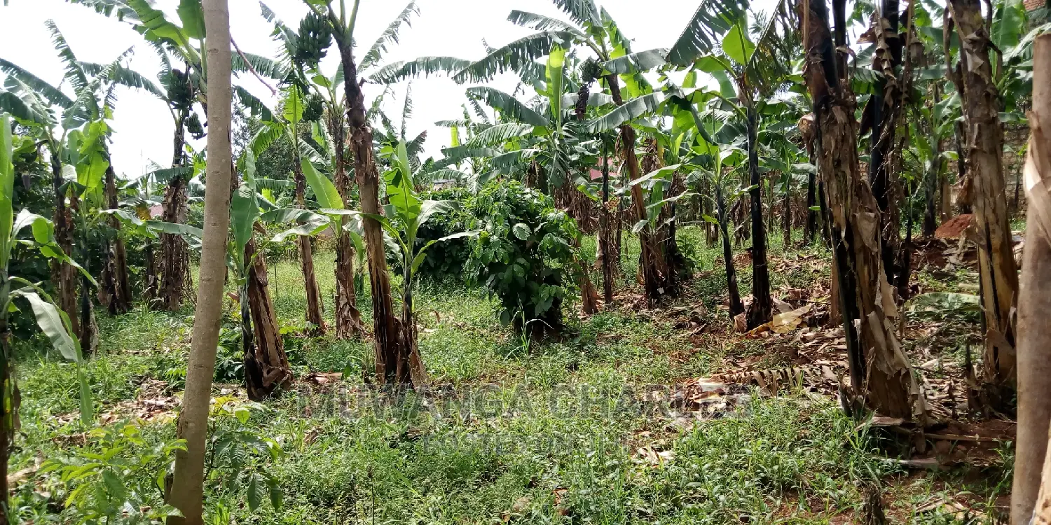 Plot Is Available for Sale in Kulambiro