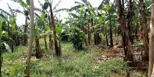 Plot Is Available for Sale in Kulambiro
