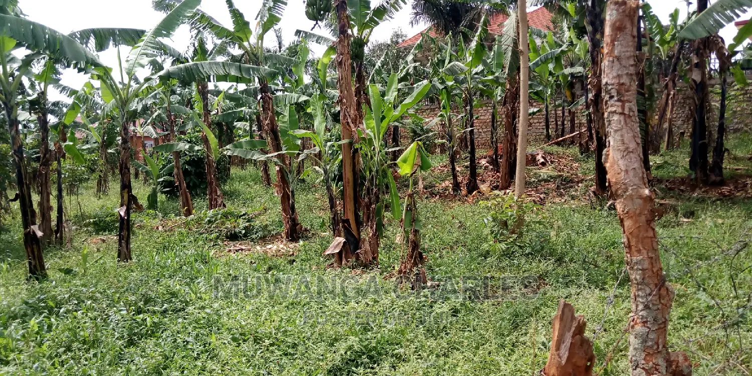 Plot Is Available for Sale in Kulambiro
