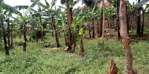 Plot Is Available for Sale in Kulambiro