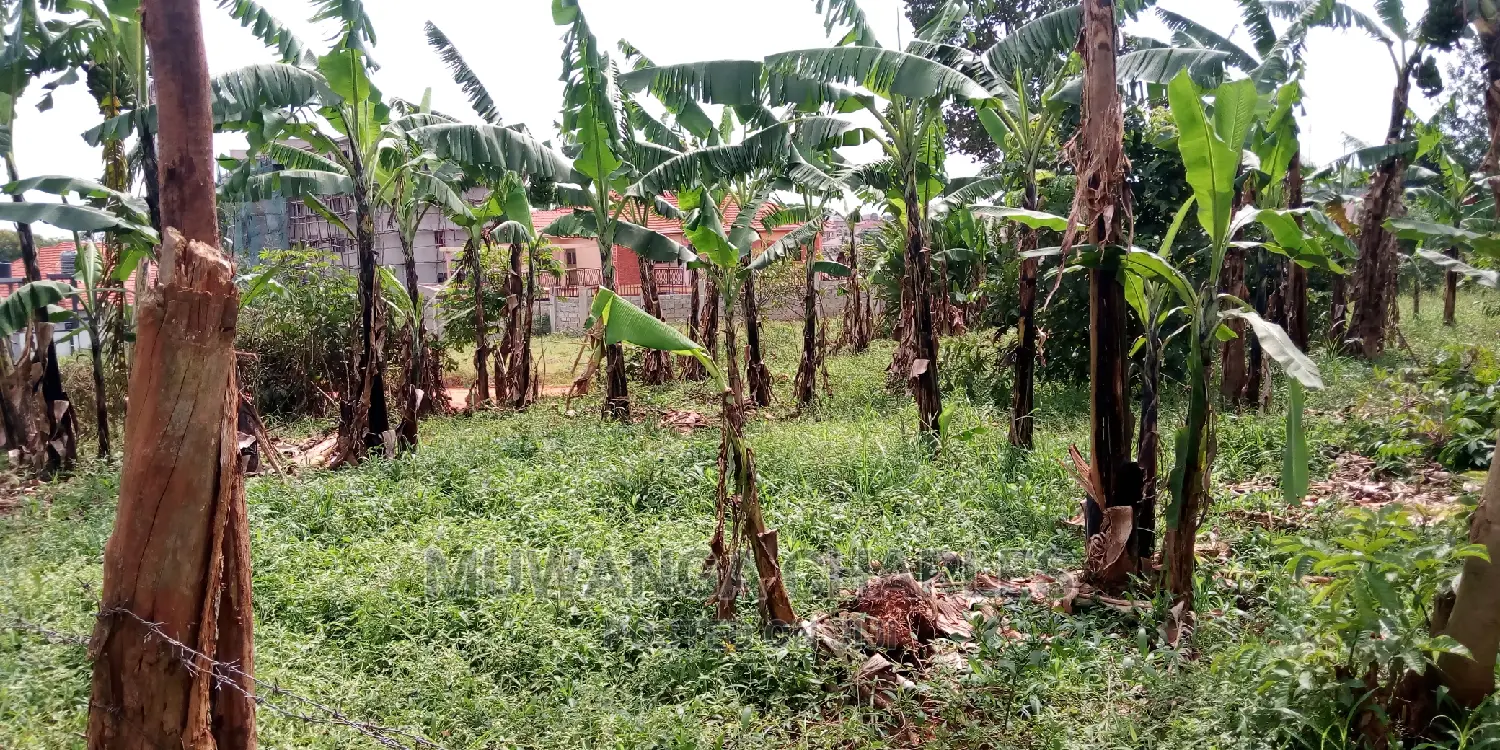 Plot Is Available for Sale in Kulambiro