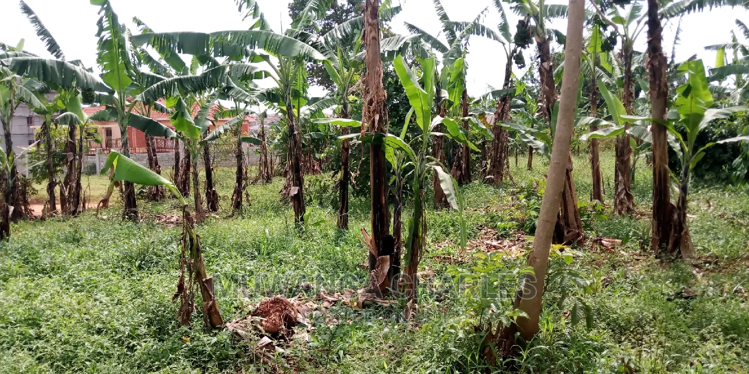 Plot Is Available for Sale in Kulambiro
