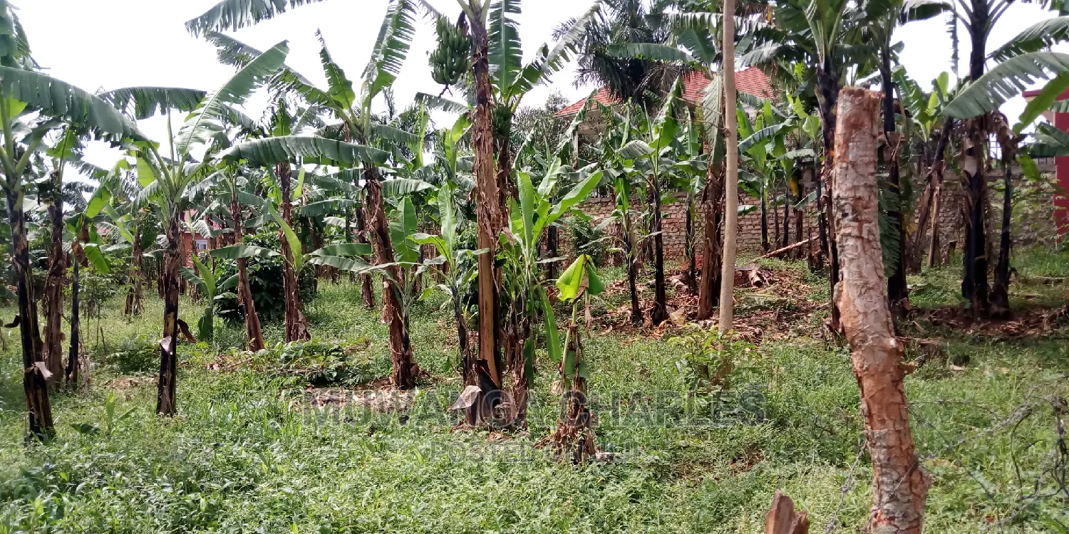 20decimals of Land Is Available for Sale in Kulambiro