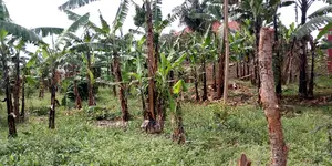 20decimals of Land Is Available for Sale in Kulambiro