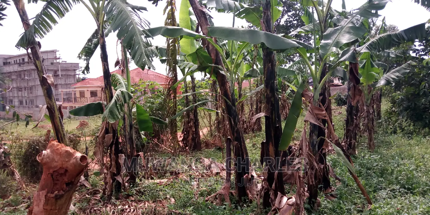 20decimals of Land Is Available for Sale in Kulambiro