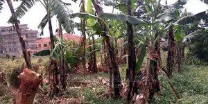20decimals of Land Is Available for Sale in Kulambiro